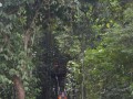 Tn DSC 4280